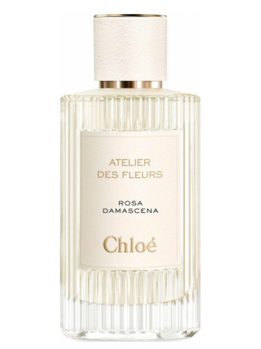 عطر ادکلن رز دمشق کلوئه - Rosa Damascena Chloé - بررسی، قیمت و خرید