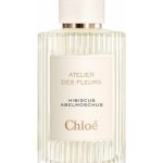 عطر ادکلن هیبیسکوس ابلموشوس کلوئه - Hibiscus Abelmoschus Chloé - بررسی، قیمت و خرید