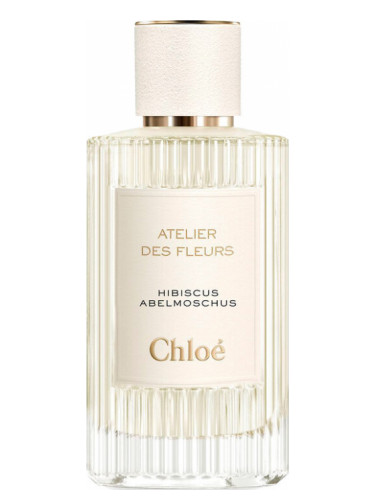 عطر ادکلن هیبیسکوس ابلموشوس کلوئه - Hibiscus Abelmoschus Chloé - بررسی، قیمت و خرید
