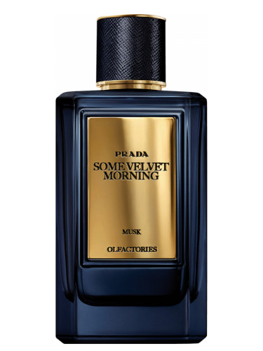 عطر ادکلن میرجز سام ولوت مورنینگ پرادا - Mirages Some Velvet Morning Prada - بررسی، قیمت و خرید