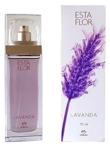 عطر ادکلن استا فلور لاواندا ناتورا - Esta Flor Lavanda Natura - بررسی، قیمت و خرید
