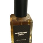 عطر ادکلن بلاک کرنت انجل لاش - Blackcurrant Angel Lush - بررسی، قیمت و خرید