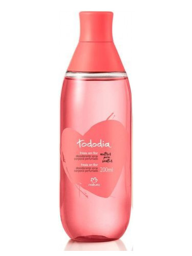 عطر ادکلن فریزیا ام فلور ناتورا - Frésia em Flor Natura - بررسی، قیمت و خرید