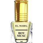 عطر ادکلن بوی ماسک النبیل - Boy Musc El Nabil - بررسی، قیمت و خرید