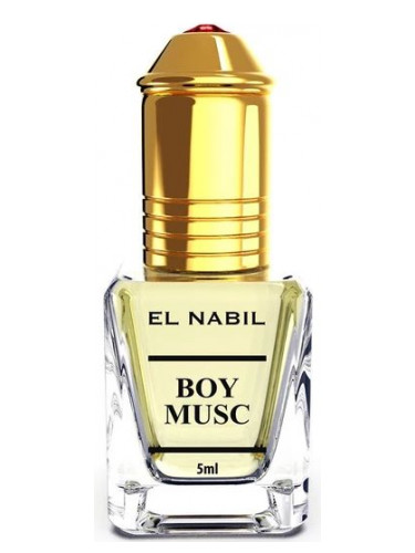 عطر ادکلن بوی ماسک النبیل - Boy Musc El Nabil - بررسی، قیمت و خرید