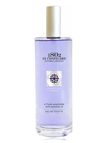 عطر ادکلن لاواندولا هیبرید لو شاتلارد ۱۸۰۲ - Lavandula Hybrida Le Chatelard 1802 - بررسی، قیمت و خرید