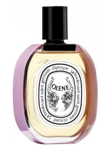 عطر ادکلن ایمپاسیبل بوکت اولن دیپتیک - Impossible Bouquet Olene Diptyque - بررسی، قیمت و خرید