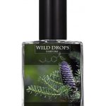 عطر ادکلن بِلَک فُرِست وایلد دراپس پرفیومز - Black Forest Wild Drops Parfums - بررسی، قیمت و خرید