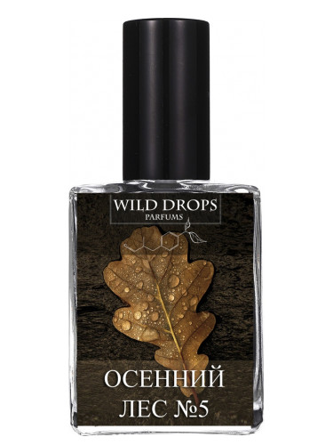 عطر ادکلن آتم فارست ۵ وایلد دراپس پرفیومز - Autumn Forest 5 (Осенний Лес 5) Wild Drops Parfums - بررسی، قیمت و خرید