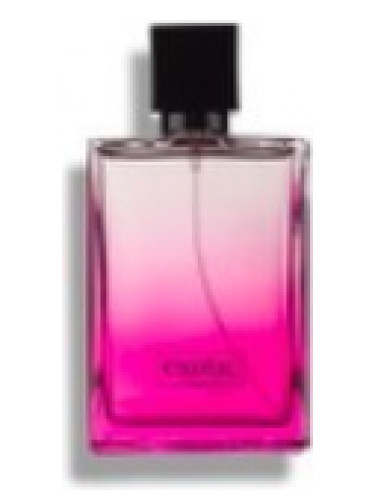 عطر ادکلن اگزاتیک اندونزیا داون - Exotic Indonésia Davene - بررسی، قیمت و خرید