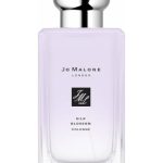 عطر ادکلن سیلک بلاسم کلن جو مالون لندن - Silk Blossom Cologne Jo Malone London - بررسی، قیمت و خرید