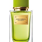 عطر ادکلن ولوت موگتو دولچه گابانا - Velvet Mughetto Dolce&Gabbana - بررسی، قیمت و خرید