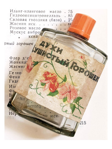 عطر ادکلن دوشیستی گوروشک نوایا زاریا - Душистый горошек (Sweet Pea) Новая Заря (The New Dawn) - بررسی، قیمت و خرید