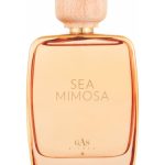 عطر ادکلن سی میموسا گس بیجو - Sea Mimosa Gas Bijoux - بررسی، قیمت و خرید