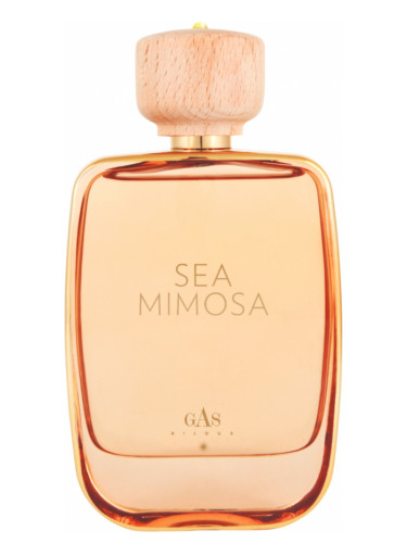 عطر ادکلن سی میموسا گس بیجو - Sea Mimosa Gas Bijoux - بررسی، قیمت و خرید
