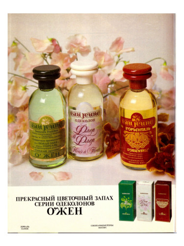 عطر ادکلن او ژون فلور اَ فلور نوایا زاریا - Eau Jeune Fleur a Fleur Новая Заря (The New Dawn) - بررسی، قیمت و خرید