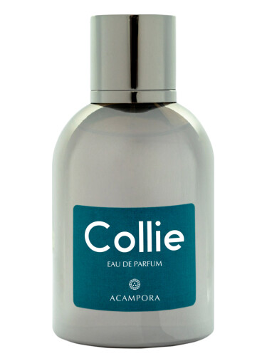 عطر ادکلن کالی اُ دو پرفیوم برونو آکامپورا - Collie – Eau de Parfum Bruno Acampora - بررسی، قیمت و خرید