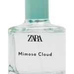 عطر ادکلن میموسا کلود ادو تویلت زارا - Mimosa Cloud Eau de Toilette Zara - بررسی، قیمت و خرید