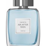 عطر ادکلن ایر افتر رین اگزوما پرفیومز - Air After Rain Exuma Parfums - بررسی، قیمت و خرید