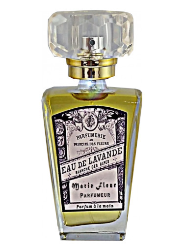 عطر ادکلن اُ دو لاوندر اتلیه سگال و باروتی - Eau de Lavander Atelier Segall & Barutti - بررسی، قیمت و خرید