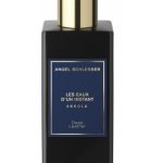 عطر ادکلن دیپ لدر آنجل شلسر - Deep Leather Angel Schlesser - بررسی، قیمت و خرید