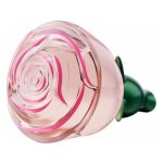 عطر ادکلن ولار مومنتس اوریفلیم - Volare Moments Oriflame - بررسی، قیمت و خرید