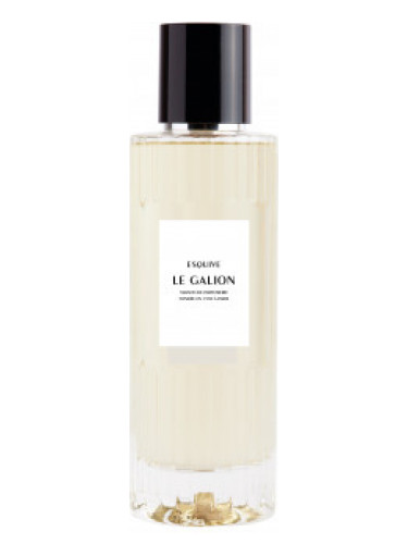 عطر ادکلن اِسکیو ل گالیون - Esquive (2020) Le Galion - بررسی، قیمت و خرید