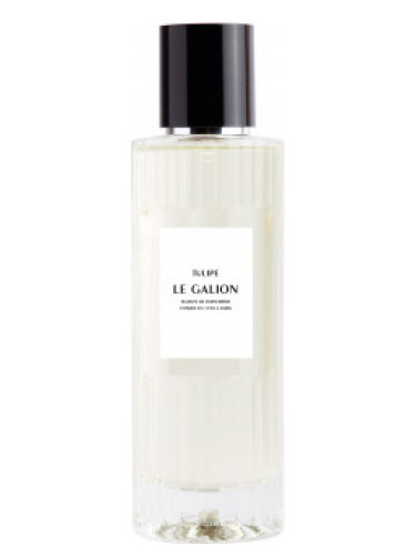 عطر ادکلن تولیپ لو گالیون - Tulipe Le Galion - بررسی، قیمت و خرید