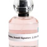 عطر ادکلن سکندی سیگنیچر اند اذِر استوریز - Scandi Signature And Other Stories - بررسی، قیمت و خرید