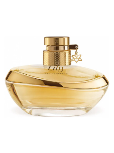 عطر ادکلن لیلی ادو پرفیوم اوباتیکاریو - Lily Eau de Parfum O Boticário - بررسی، قیمت و خرید