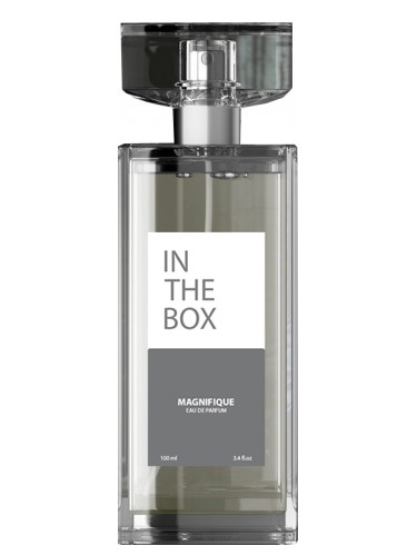 عطر ادکلن مگنیفیک این دِ باکس - Magnifique In The Box - بررسی، قیمت و خرید