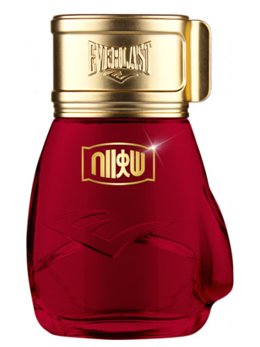 عطر ادکلن چویس آو چمپیونز استریت فایتر هادوكِن اورلست - Choice Of Champions Street Fighter Hadouken Everlast - بررسی، قیمت و خرید
