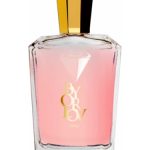 عطر ادکلن برنینگ دیزایر اورلوو پاریس - Burning Desire Orlov Paris - بررسی، قیمت و خرید