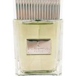 عطر ادکلن ژیله کانتول سیلور او دو پرفیوم ژیلس کانتول - Gilles Cantuel Silver Eau de Parfum Gilles Cantuel - بررسی، قیمت و خرید