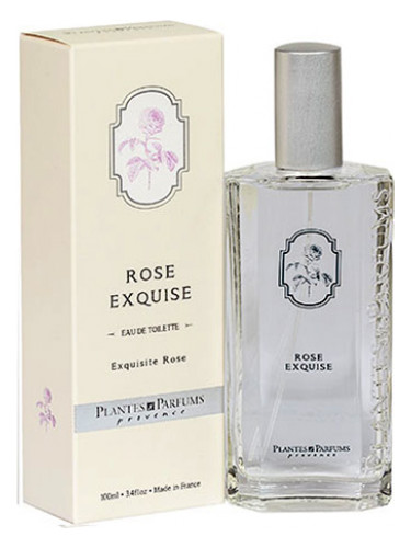 عطر ادکلن رز اکسکوییز پلانته اند پرفیومز - Rose Exquise Plantes & Parfums - بررسی، قیمت و خرید