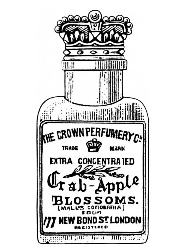 عطر ادکلن کراب اپل بلاسمز د کرَون پِرفیومری کو - Crab Apple Blossoms The Crown Perfumery Co. - بررسی، قیمت و خرید