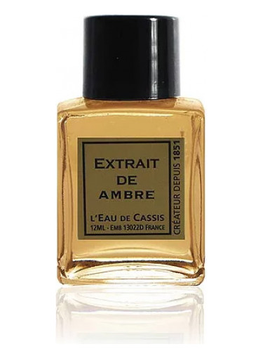 عطر ادکلن آمبره لو دوکسیس - Ambre L'Eau De Cassis - بررسی، قیمت و خرید