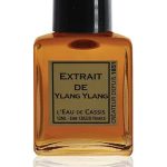 عطر ادکلن یِلَنگ یِلَنگ لو دو کاسی - Ylang Ylang L'Eau De Cassis - بررسی، قیمت و خرید