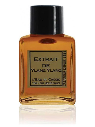 عطر ادکلن یِلَنگ یِلَنگ لو دو کاسی - Ylang Ylang L'Eau De Cassis - بررسی، قیمت و خرید