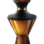 عطر ادکلن آلکمیستز عود اُ بوتیکاریو - Alchemists Oud O Boticário - بررسی، قیمت و خرید