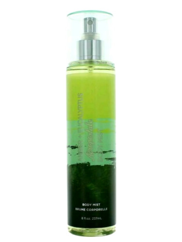 عطر ادکلن امبر اکالیپتوس آروپوستال - Amber Eucalyptus Aéropostale - بررسی، قیمت و خرید