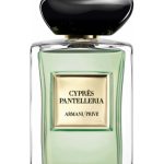 عطر ادکلن سیپرس پانتلریا جورجیو آرمانی - Cyprès Pantelleria Giorgio Armani - بررسی، قیمت و خرید