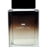 عطر ادکلن امبر شیک سنت هیلر - Ambre Chic Saint Hilaire - بررسی، قیمت و خرید