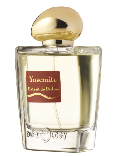 عطر ادکلن یوسمیتی اُلفَتولوژی - Yosemite Olfattology - بررسی، قیمت و خرید