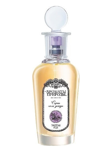عطر ادکلن سیریِن پُسله داجیا بروکارد - Сирень после дождя - Lilac After The Rain Brocard - بررسی، قیمت و خرید