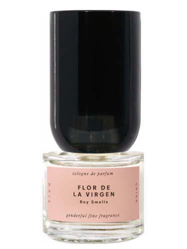 عطر ادکلن فلور د لا ویرخن بوی اسملز - Flor de la Virgen Boy Smells - بررسی، قیمت و خرید