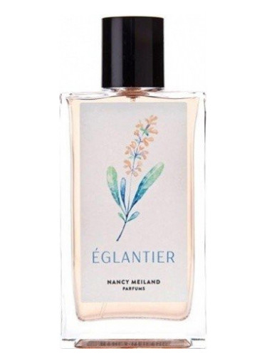 عطر ادکلن اِگلَنتیِه نانسی میلاند پارفومز - Églantier Nancy Meiland Parfums - بررسی، قیمت و خرید