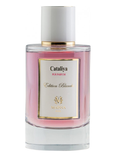 عطر ادکلن کتالیا مایسا پرفیومز - Cataliya Maïssa Parfums - بررسی، قیمت و خرید