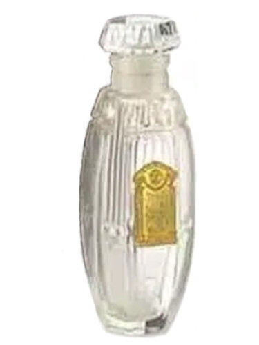 عطر ادکلن امبر رومن فندی - Ambre Romain Fendi - بررسی، قیمت و خرید