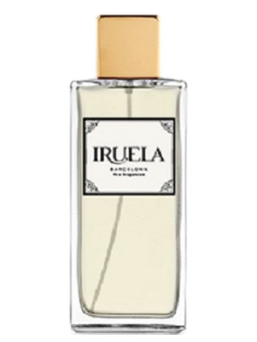 عطر ادکلن سَلَین اَند وودی مدیترِینین ایروئلا - Saline & Woody Mediterranean Iruela - بررسی، قیمت و خرید